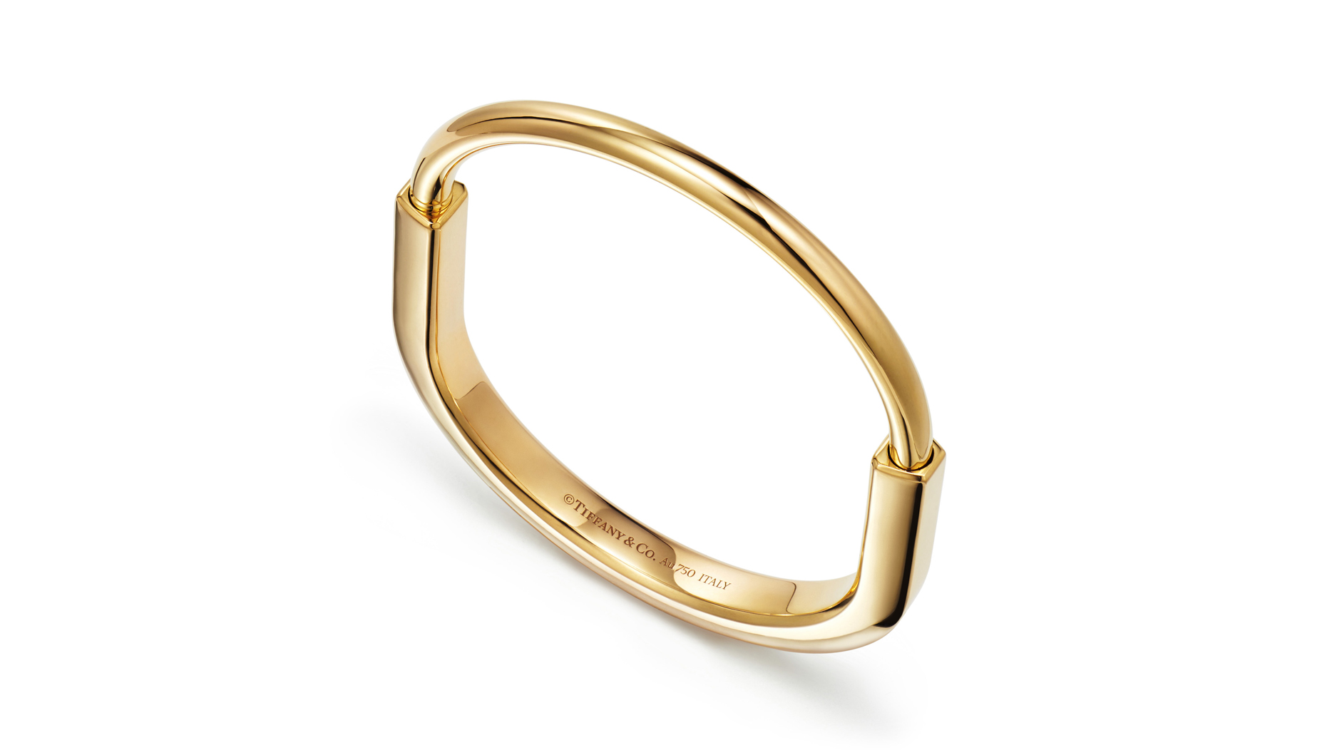 10 Cartier Love Bracelet Facts You Didnt Know  Azuro Republic