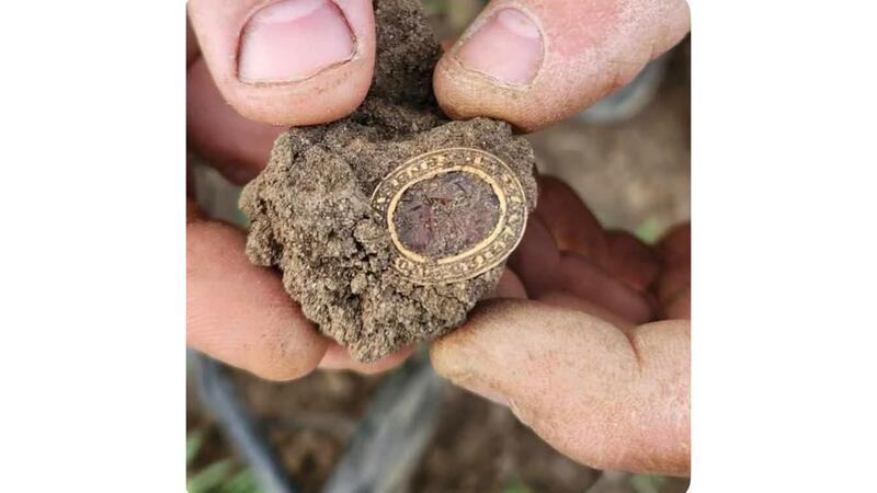 14th century Medieval gold seal ring