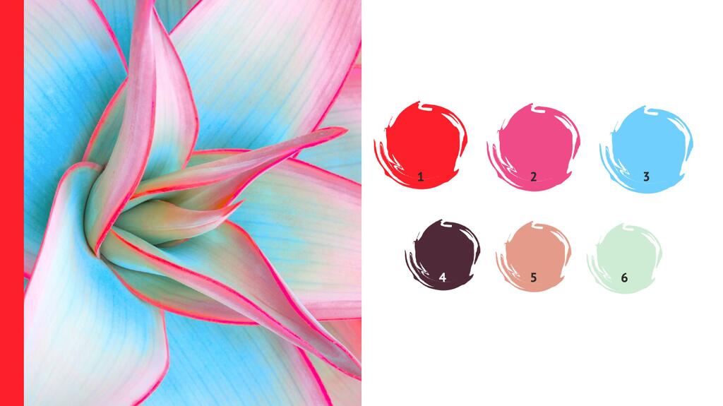 The “All In” color story is about shades that work together. (Photo courtesy of Nora Kühner fashion design consulting, photo at left by Don Pablo, shutterstock.com) Nora Kühner summer 2027 colors All in