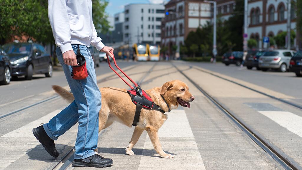 Man walking with a service dog