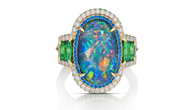 Best use of color spectrum 2025 niveet nagpal