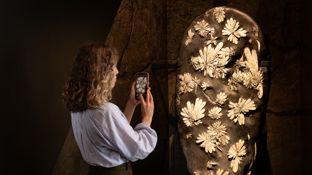 Chrysanthemum Stone Unearthed Raw Beauty