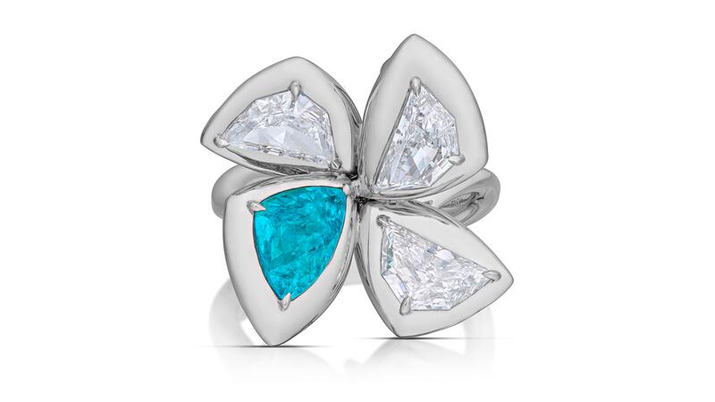 AGTA spectrum classical first place winner 2024 Beatrix Laura Jessner