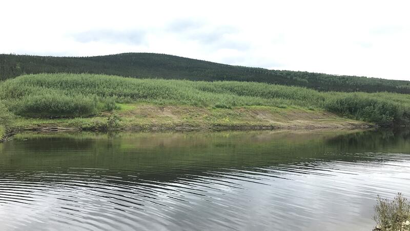 Van Bibber Lake revegetation