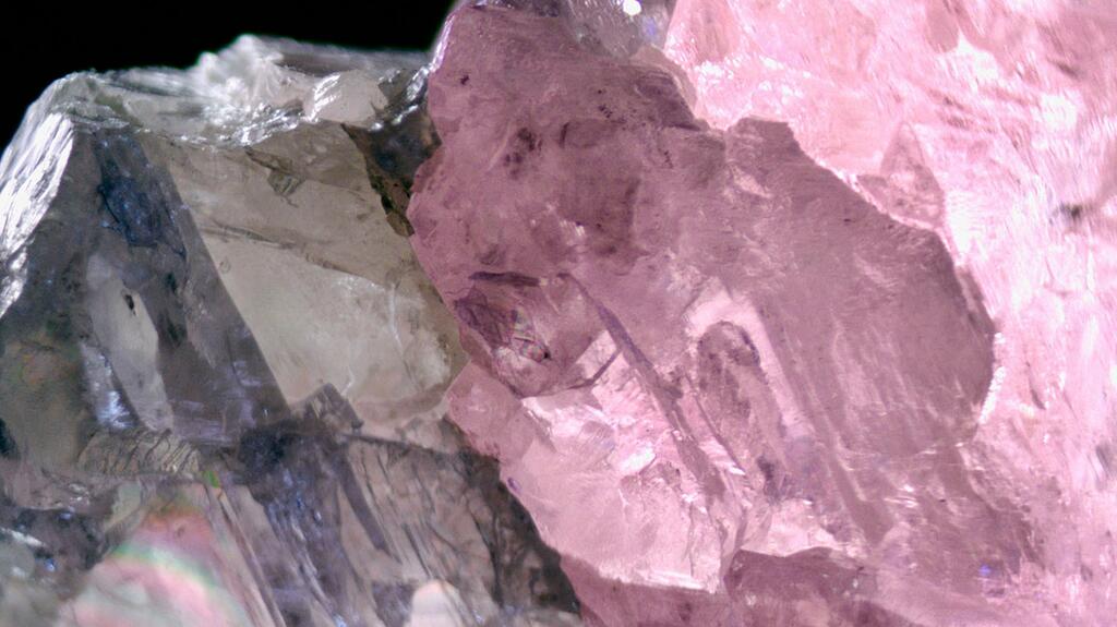 This image shows the boundary between the diamond’s pink and colorless zones. (Photomicrograph by Wanling Tan; field of view 4 mm) GIA bicolor pink diamond