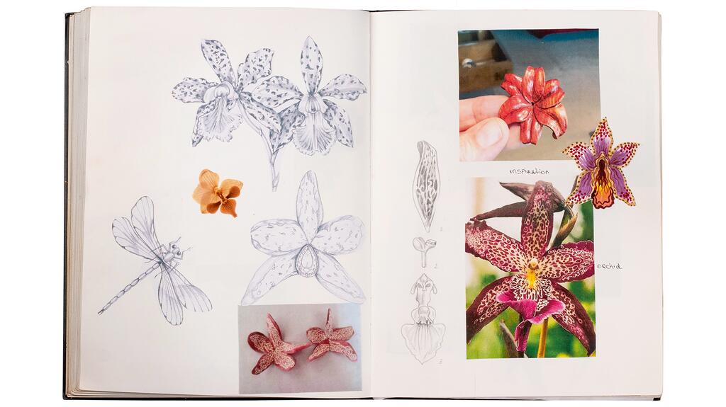 Journey of a Jeweler Silvia Furmanovich Botanical Sketchbook