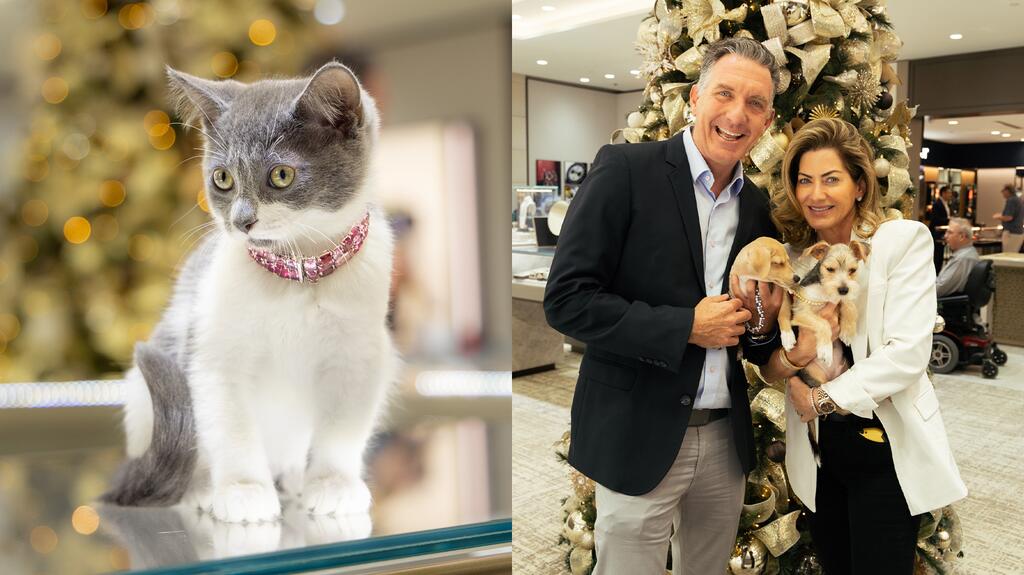 J.R. Dunn Jeweler’s Diamond in the Ruff Initiative