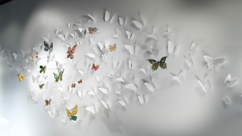 Marion Fasel’s favorite part of the “Beautiful Creatures” exhibition is the backwall of butterflies, part of the display of Creatures of Air. (Credit: D. Finnin/©AMNH)