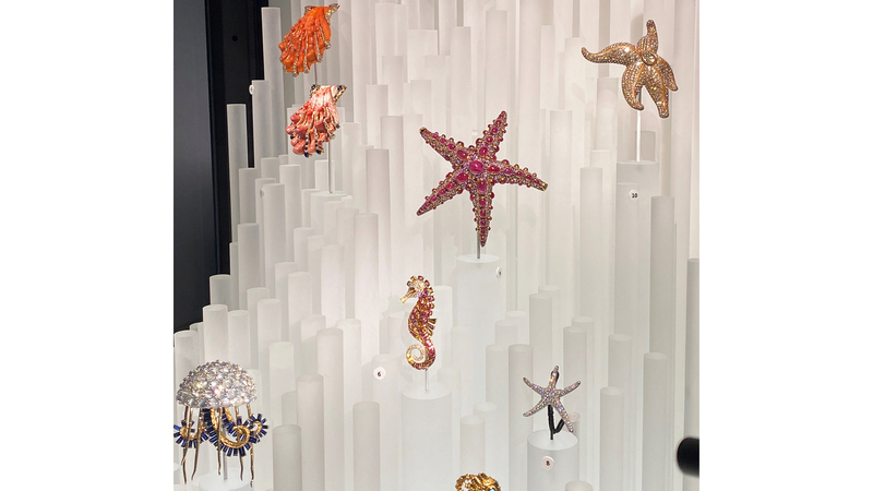 This shot by the author shows, from left to right at top, the Verdura Lion’s Paw Shell brooches, the Boivin starfish, and a starfish by Hemmerle and, at bottom, the Jean Schlumberger jellyfish, a seahorse by Guy Bedarida for Marina B, and an Elsa Peretti starfish.