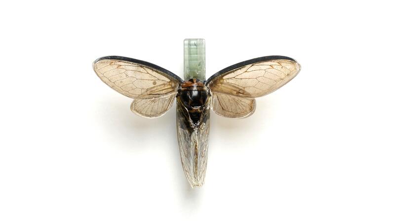 The “Wings” brooch by Alex Lozier Jewelry in oxidized sterling silver and resin, featuring a cicada with microscope slides and sheets of carved mica backing its wings, with aquamarine. (This is a real insect.) Alex Lozier Jewelry cicada brooch