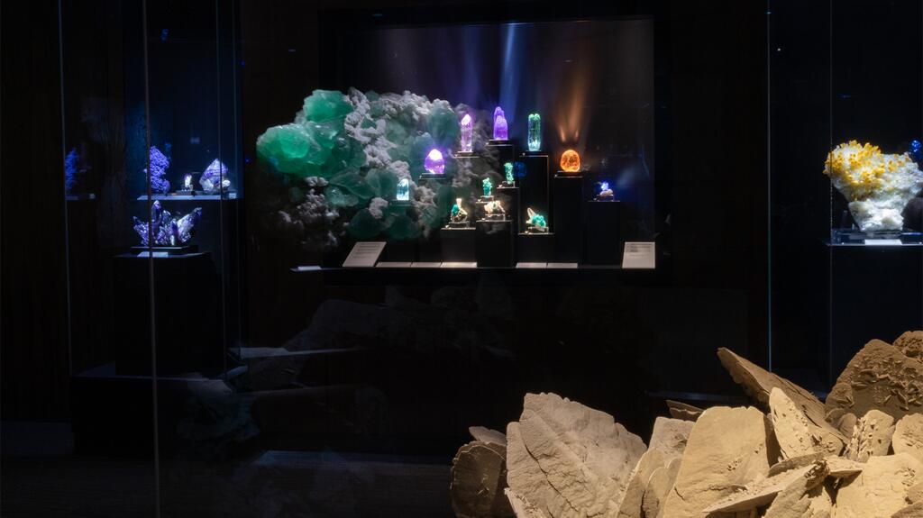 The upgraded galleries feature customized cases and new LED lighting. The Yale Peabody Museum gem hall