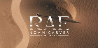 noamcarver-videoimage.png