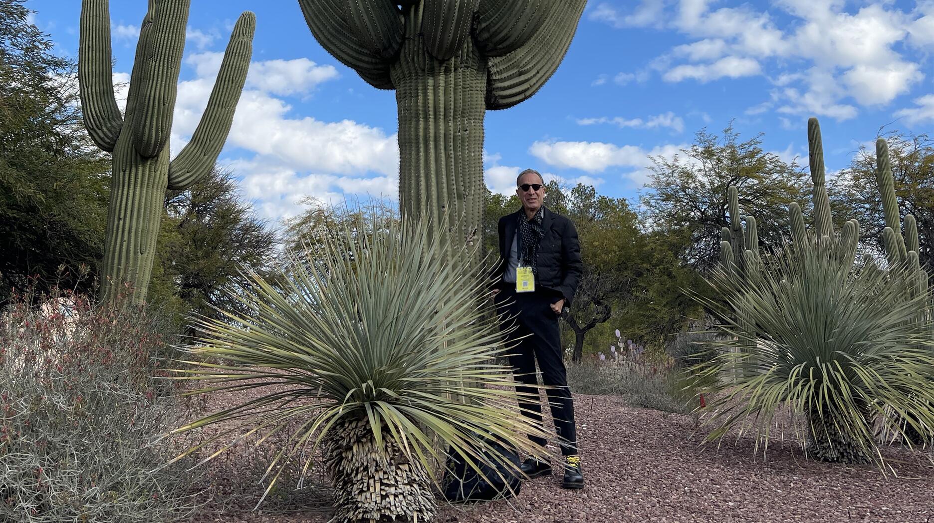 Stephen Dweck Takes Tucson … For the 40th Time
