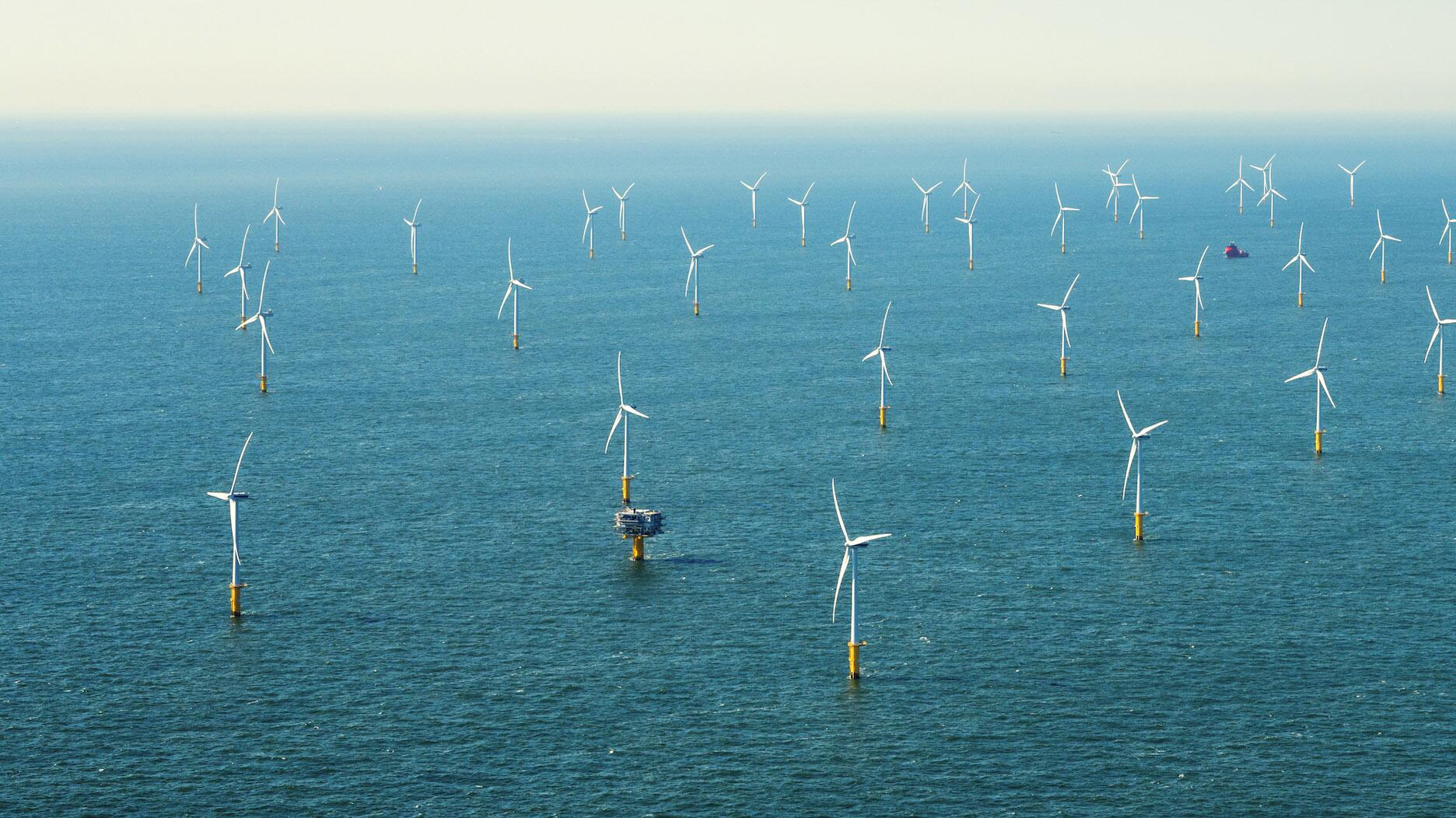 20220216_offshore wind farm IAC webinar.jpg